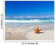starfish with ocean 