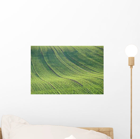 Cultivated Field Wall Decal