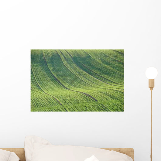 Cultivated Field Wall Decal