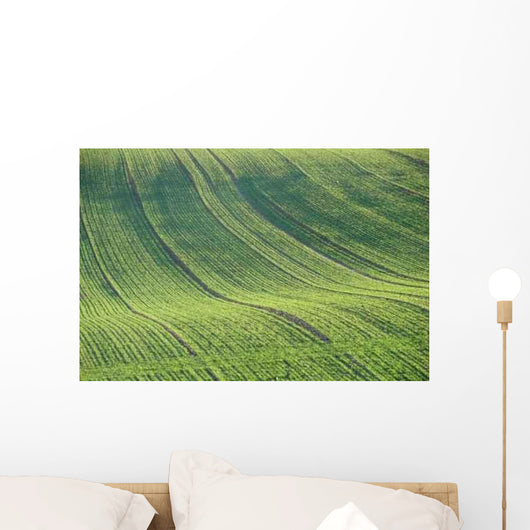 Cultivated Field Wall Decal