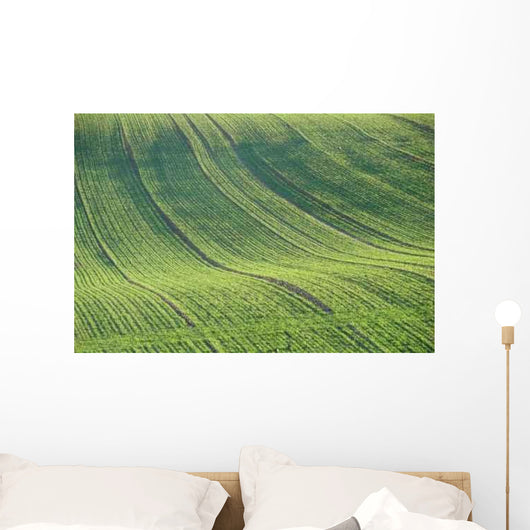 Cultivated Field Wall Decal