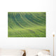 Cultivated Field Wall Decal