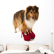 Portrait of Dog Wearing High Heel Shoes Wall Decal