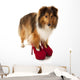 Portrait of Dog Wearing High Heel Shoes Wall Decal
