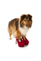 Portrait of Dog Wearing High Heel Shoes Wall Decal