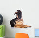 german shepherd puppy  with funny ears Wall Decal