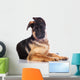 german shepherd puppy  with funny ears Wall Decal