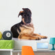 german shepherd puppy  with funny ears Wall Decal