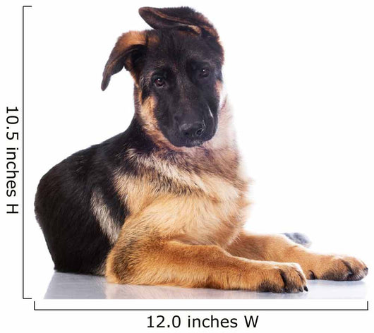 german shepherd puppy  with funny ears Wall Decal