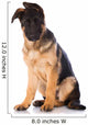 German Shepherd Puppy Portrait Wall Decal