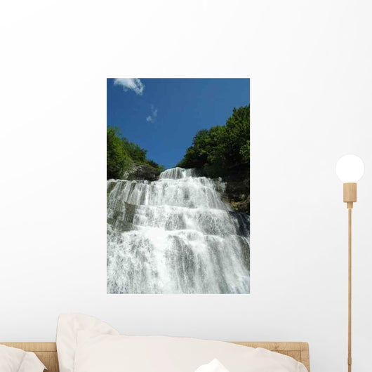 From Cascade Hedgehog Jura Wall Decal