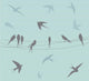 Birds on a wire Wall Decal