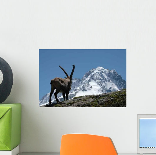 Ibex - from Mont Blanc Massif Wall Mural