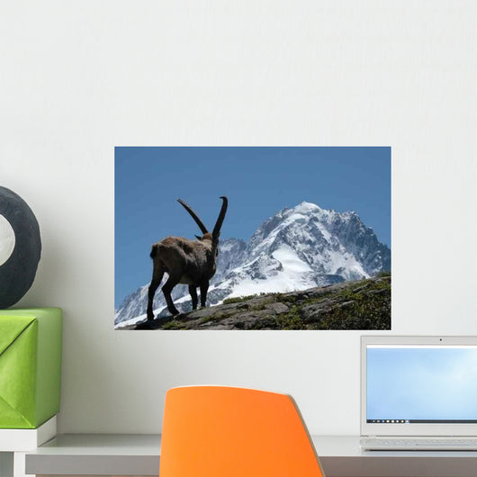 Ibex - from Mont Blanc Massif Wall Mural