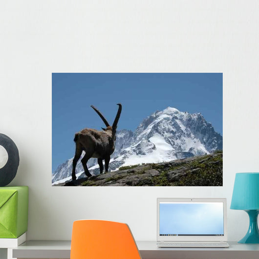 Ibex - from Mont Blanc Massif Wall Mural