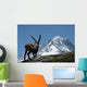 Ibex - from Mont Blanc Massif Wall Mural