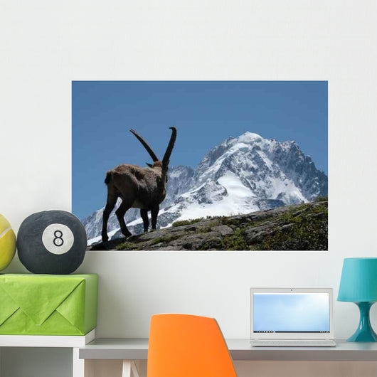Ibex - from Mont Blanc Massif Wall Mural