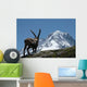 Ibex - from Mont Blanc Massif Wall Mural