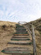 Convenient Way over Dunes Wall Decal