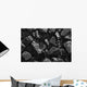 Coal background 