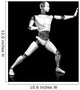 Male Robot Fighting Karate Wall Decal