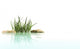Small Island From Stones and Grass 