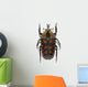 tropical beetle collection amaurodes passerinii nigricans Wall Decal