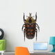 tropical beetle collection amaurodes passerinii nigricans Wall Decal