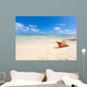 shell on beach of Mauritius 