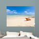 shell on beach of Mauritius 