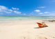 shell on beach of Mauritius 