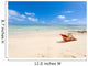 shell on beach of Mauritius 