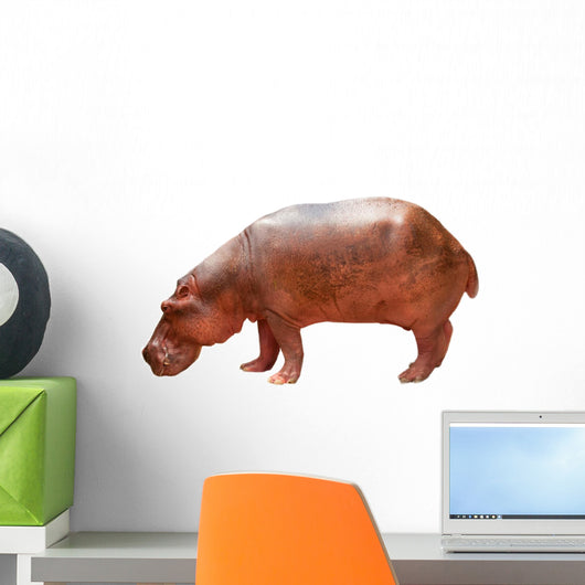 Hippo Wall Mural