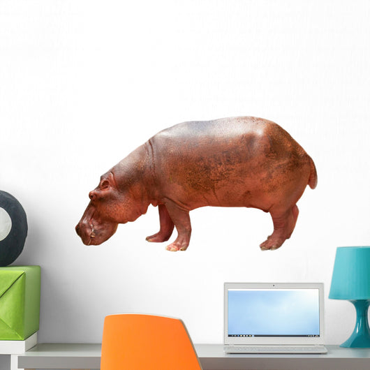 Hippo Wall Mural