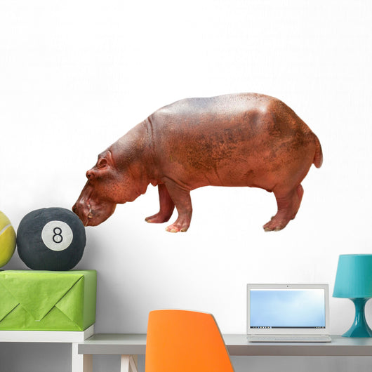 Hippo Wall Mural