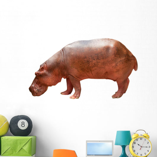 Hippo Wall Mural