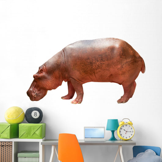Hippo Wall Mural