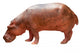 Hippo Wall Mural