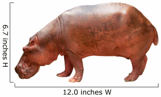 Hippo Wall Mural