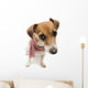 Fashion Cool Dog in a Scarf 
