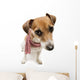 Fashion Cool Dog in a Scarf 