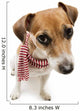 Fashion Cool Dog in a Scarf 