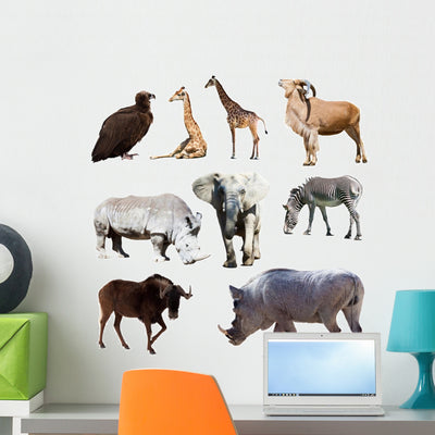 Warthog and Few Other shown on a wall
