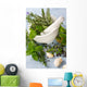 Mortar and pestle with fresh herbs, garlic and peppercorns. Wall Mural
