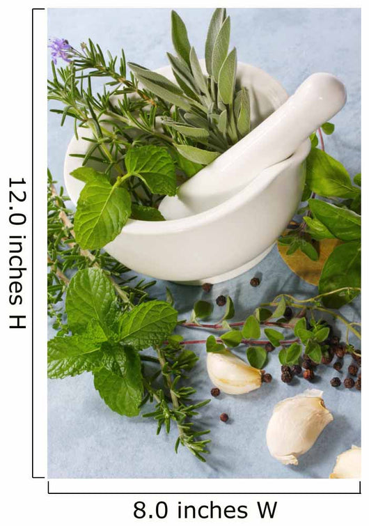 Mortar and pestle with fresh herbs, garlic and peppercorns. Wall Mural