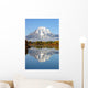 Grand Tetons National Park Mountains Wall Mural