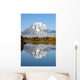 Grand Tetons National Park Mountains Wall Mural