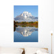 Grand Tetons National Park Mountains Wall Mural
