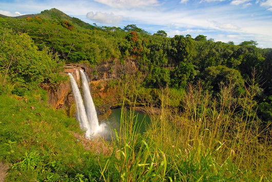Secluded Waterfall Hawaii Wall Decal