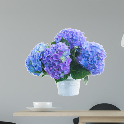Posy Blue Hortensia Flowers shown on a wall